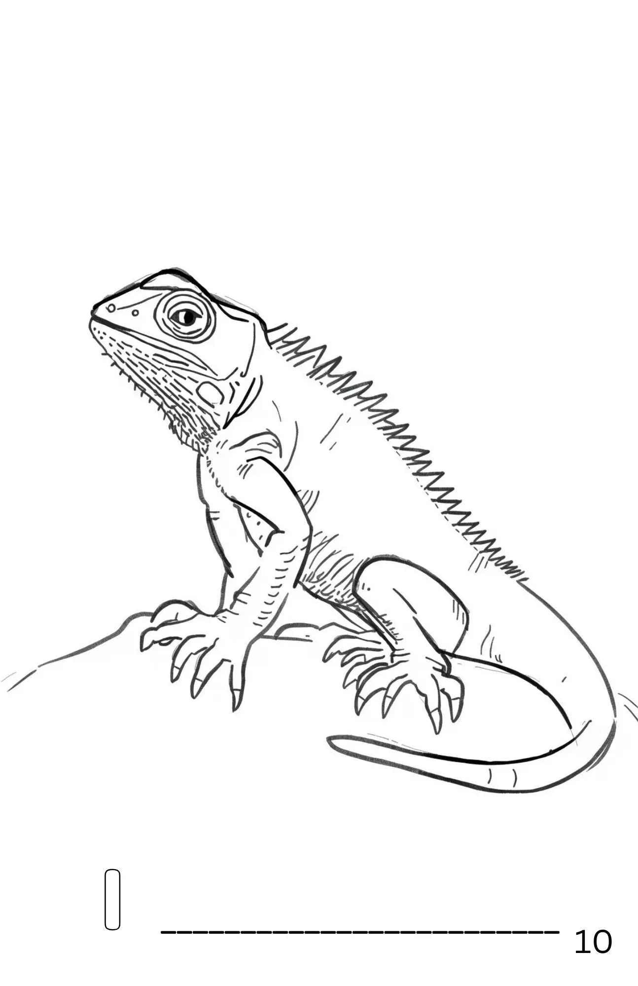 Kids Coloring Book - A-Z Animal Name Game Neu Digital Designs